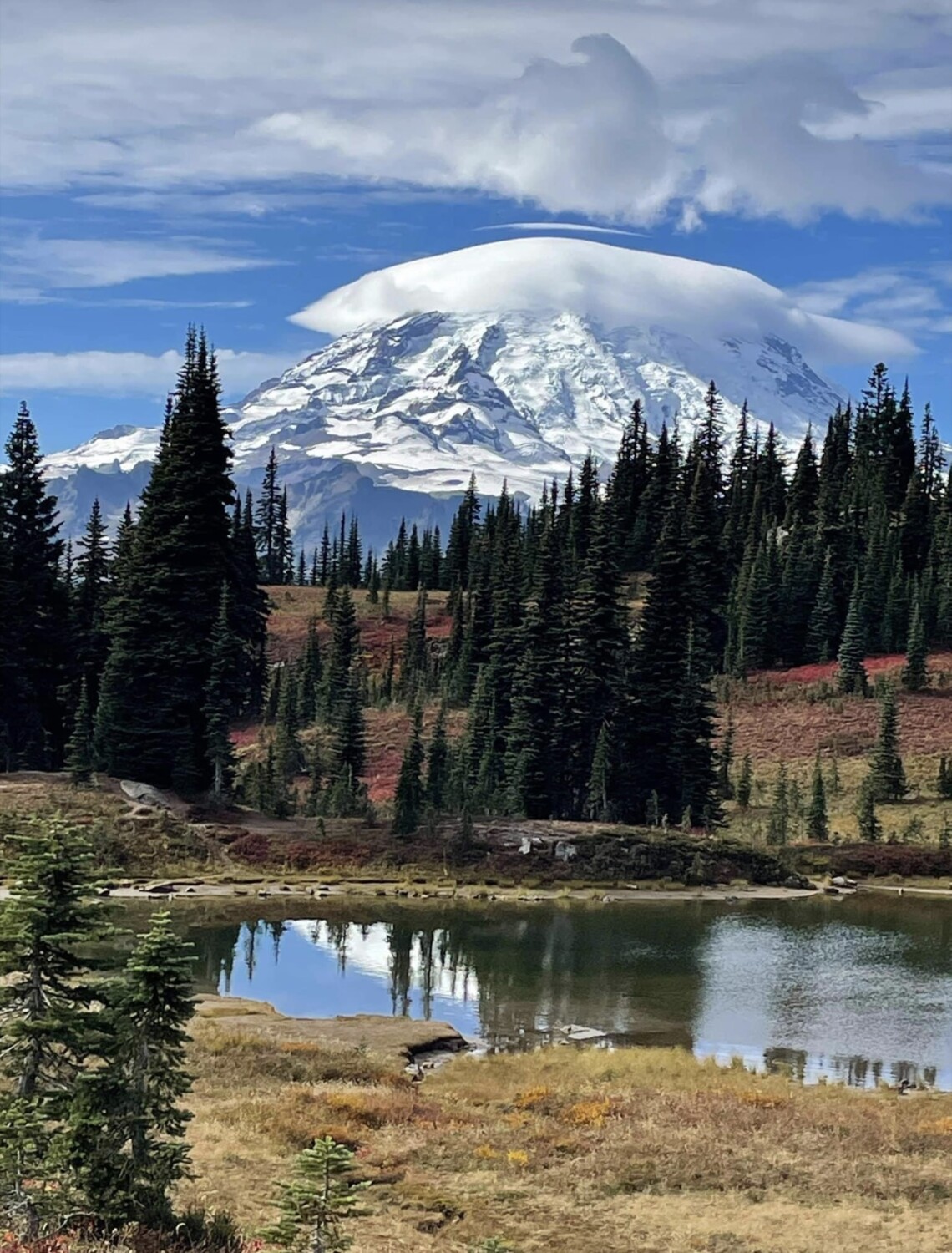 Mt. Rainier