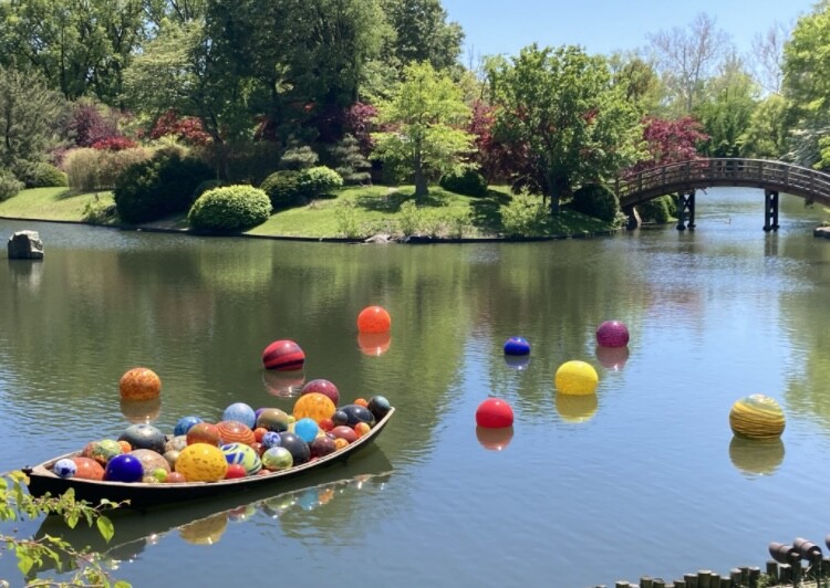 Chihuly in the Garden
