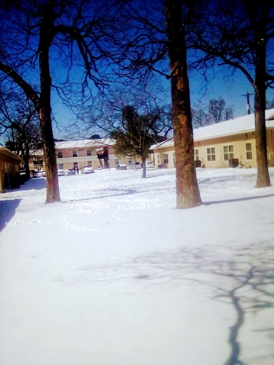 Late Christmas in San Antonio TX