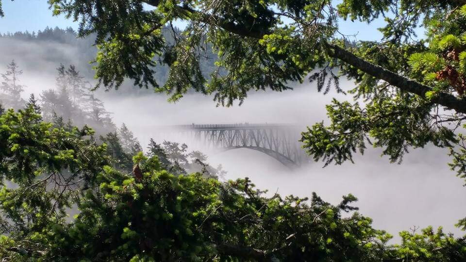 Deception Pass in the mist