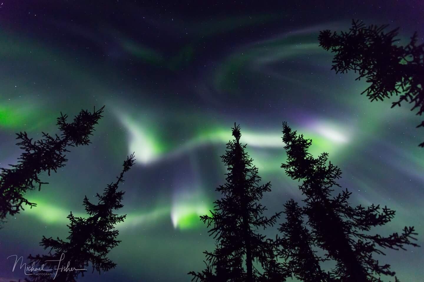 Aurora