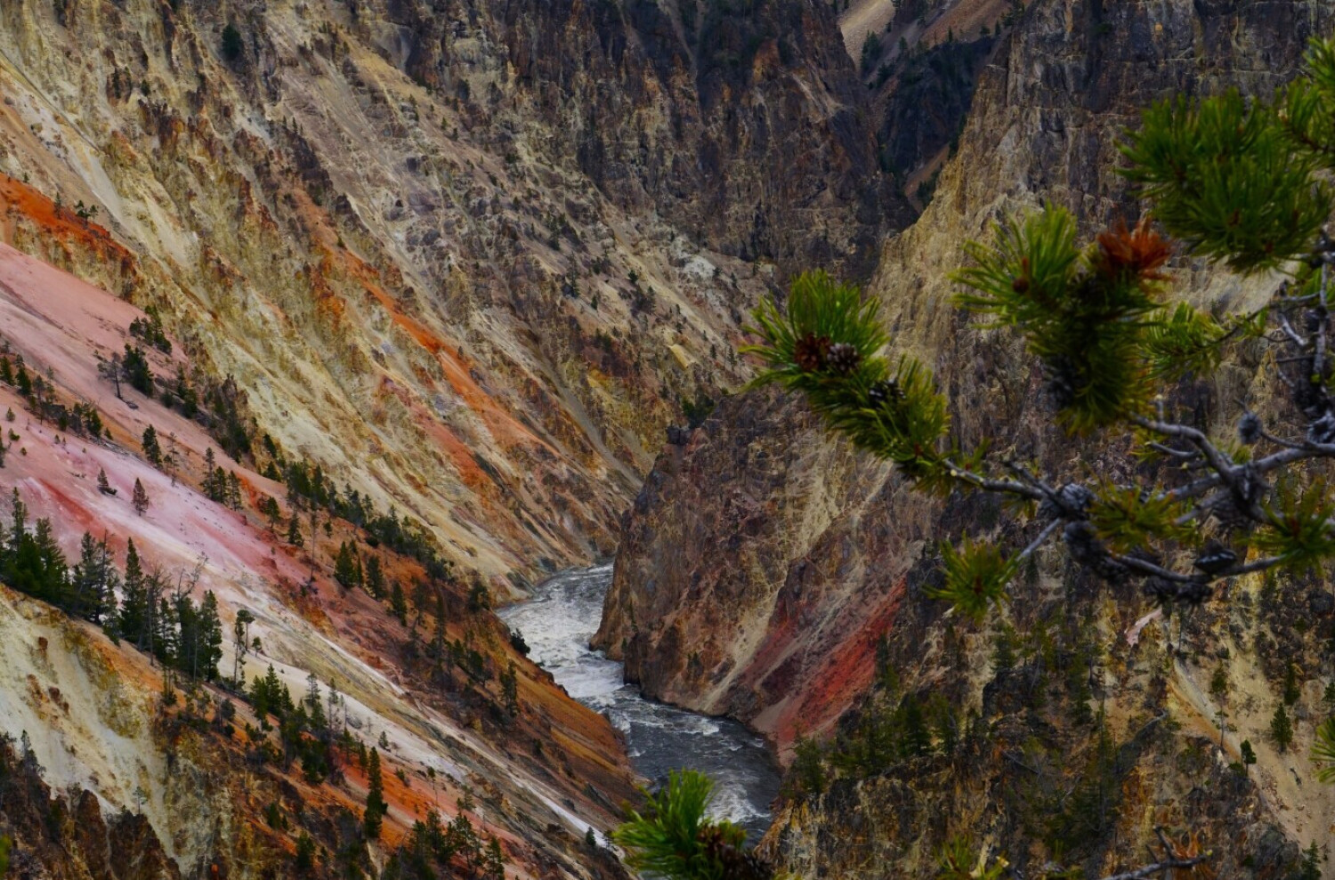 Yellowstone Grand Canyon