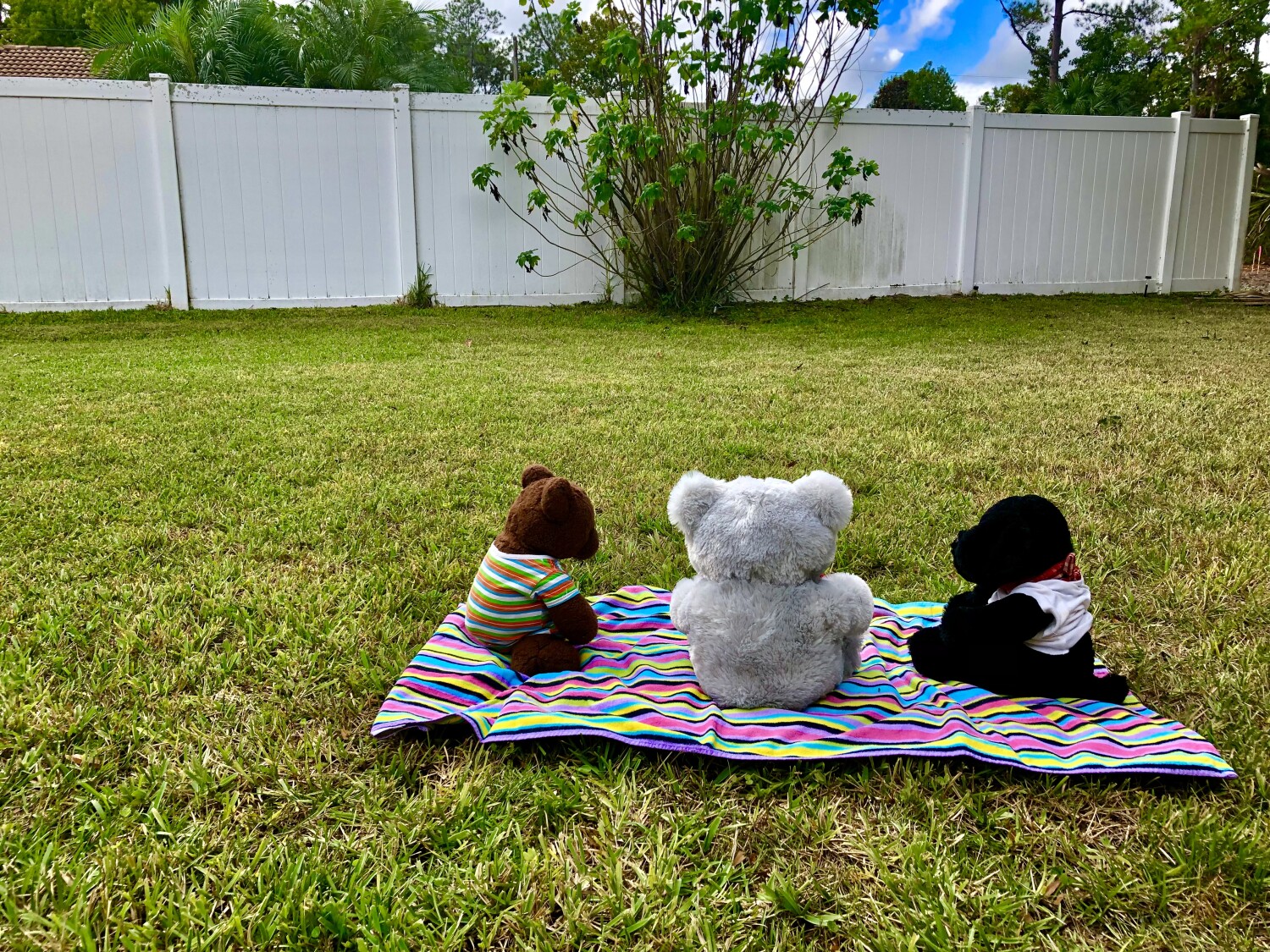 What they talkin bout?