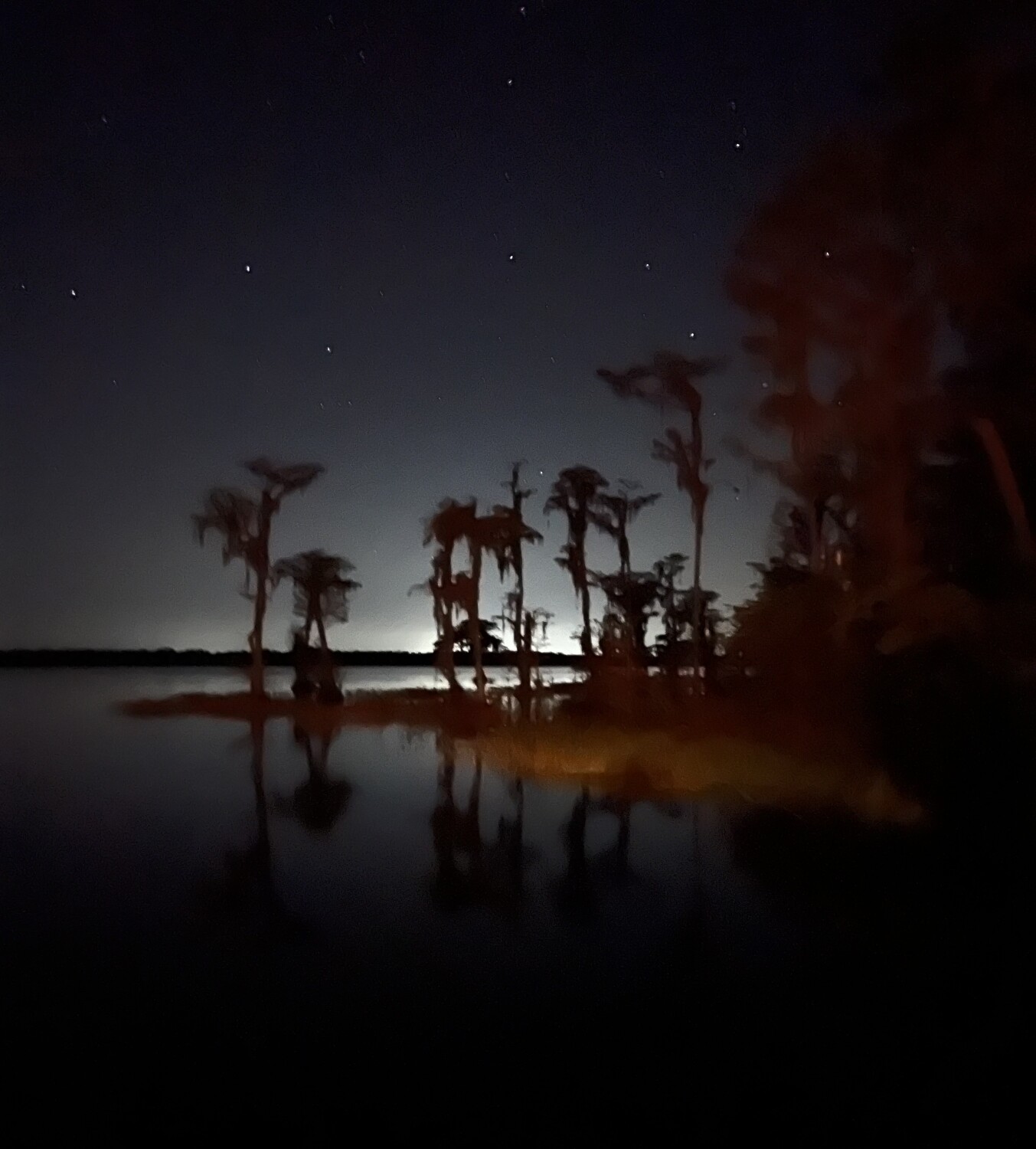Night sky at the lake