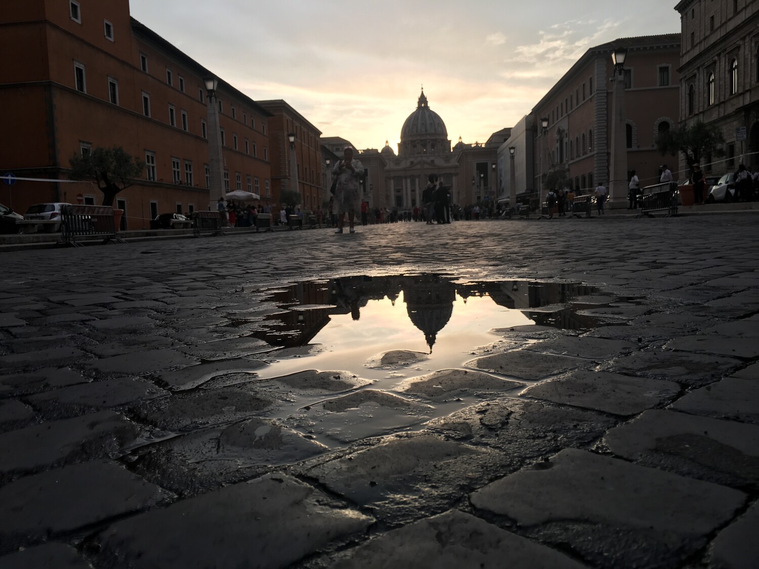 Vatican puddle