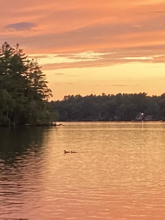 Lake Messalonskee, Oakland, Maine