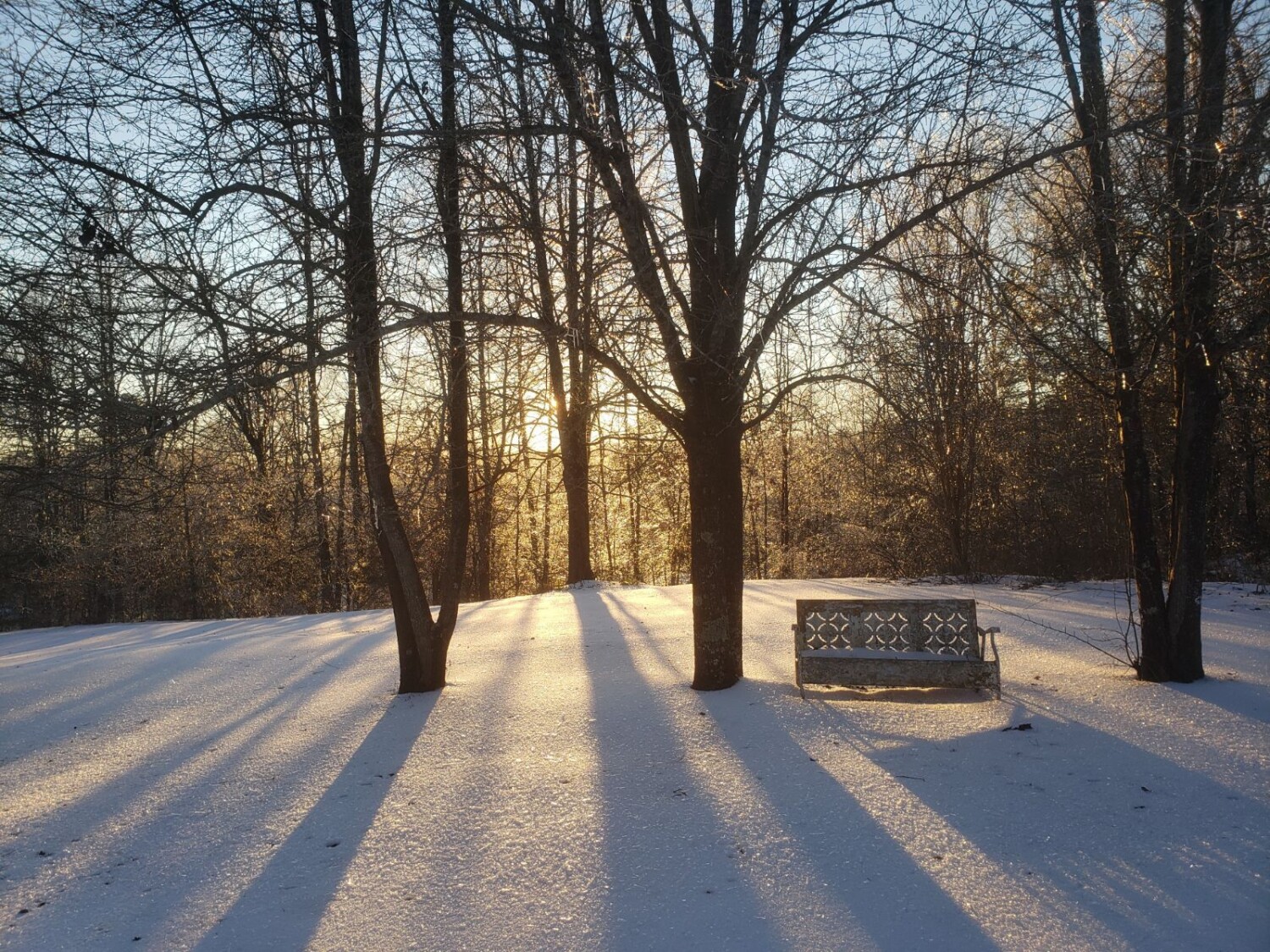 Snowy Sunset