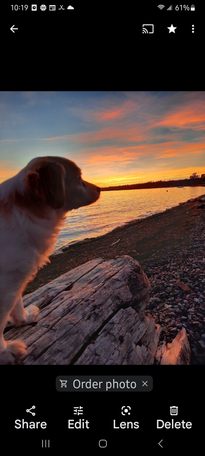 Puddins at Birch Bay Wa