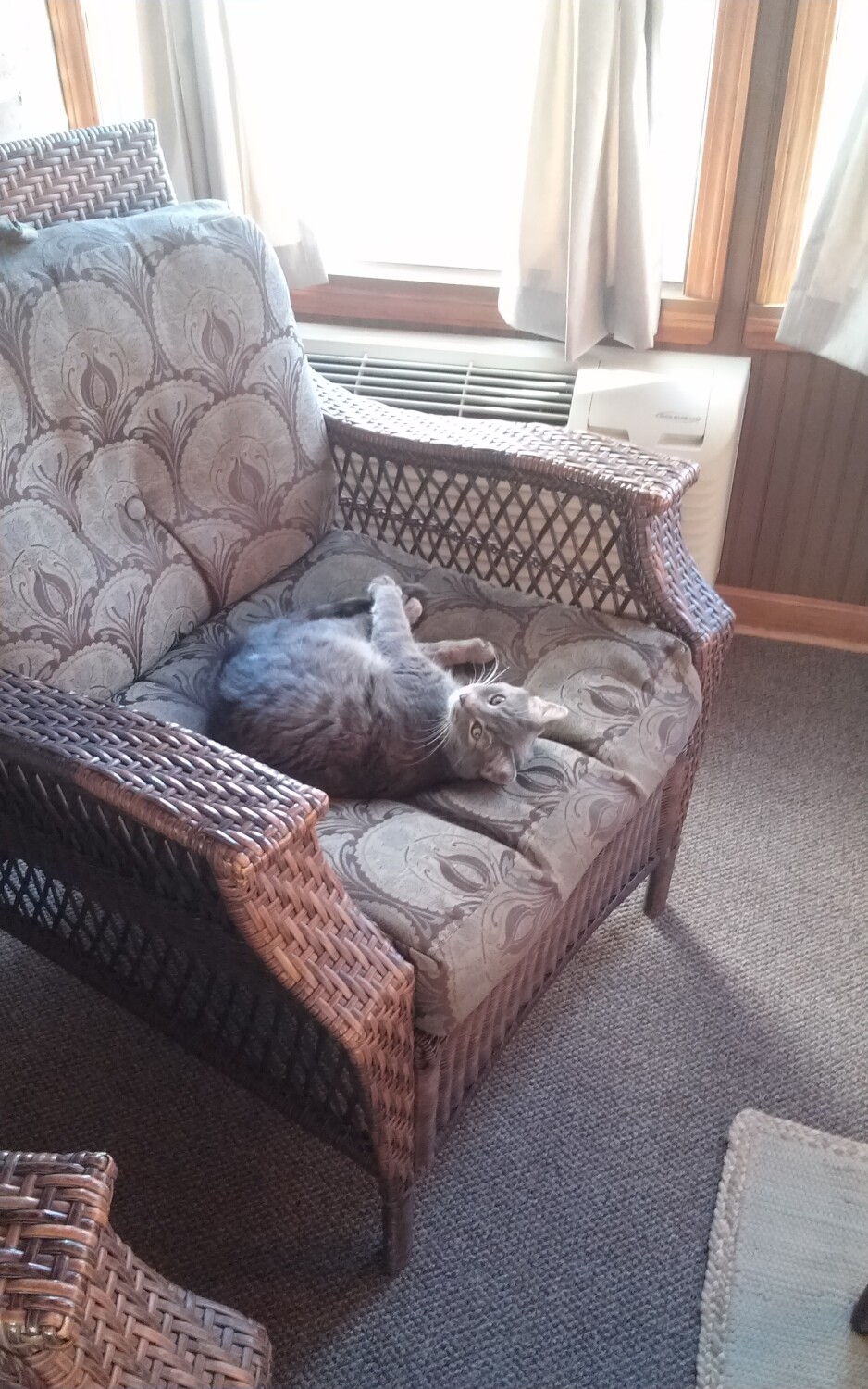 Oops you caught me sunning