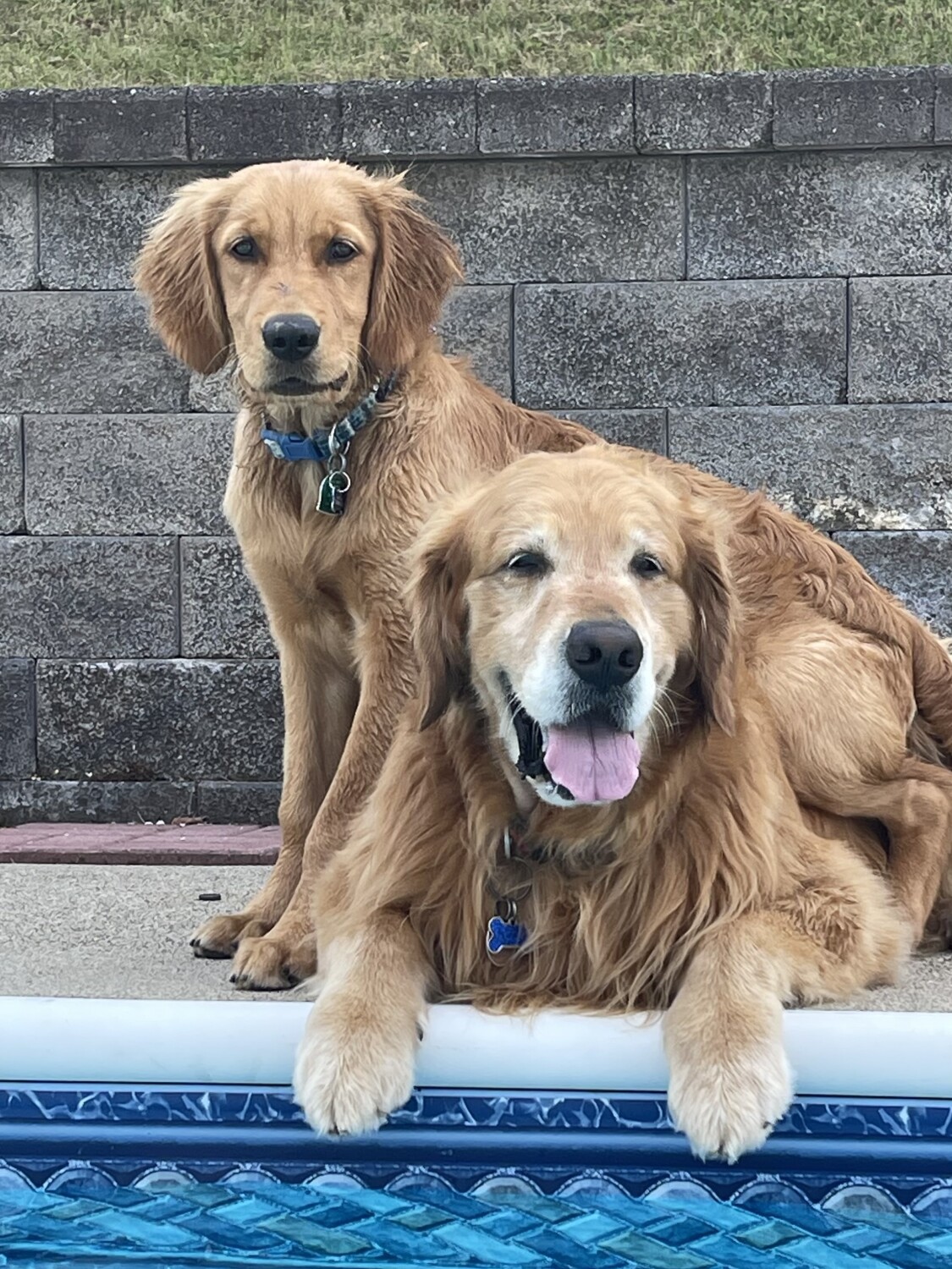 Chilling by the pool