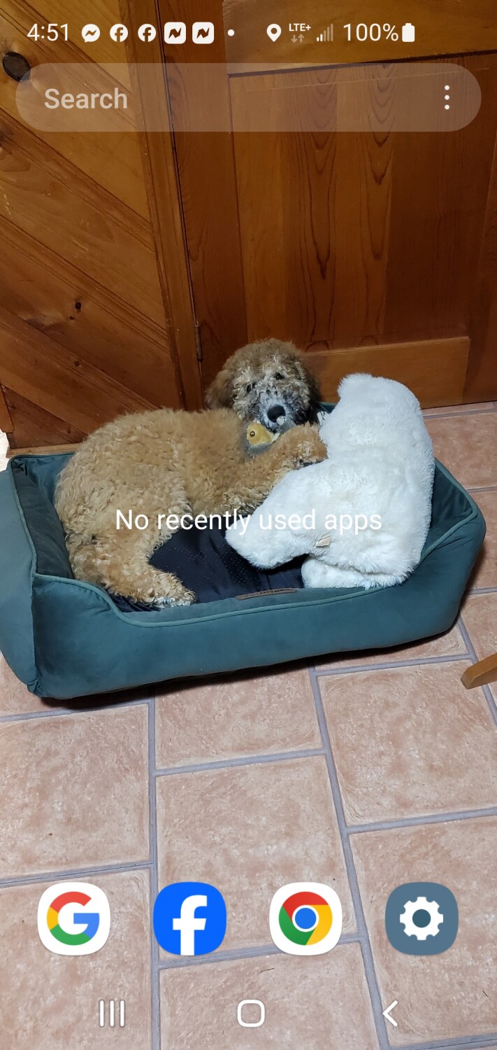 Bella with her bear buddy