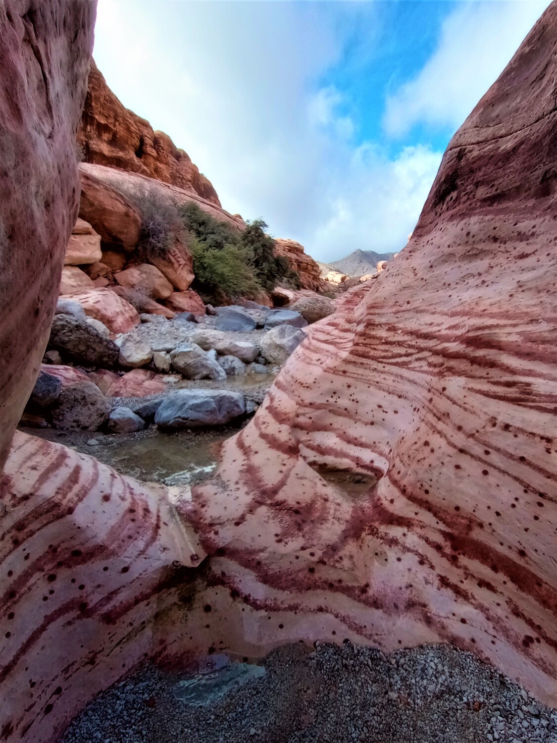 Hiking fun in Southern Nevada