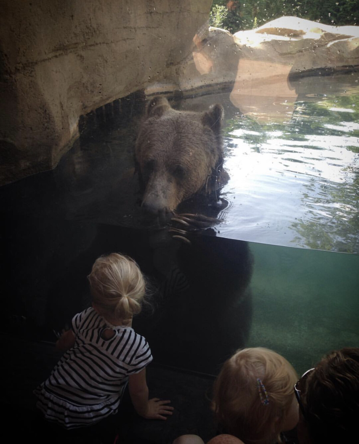 Magnificent... you and I