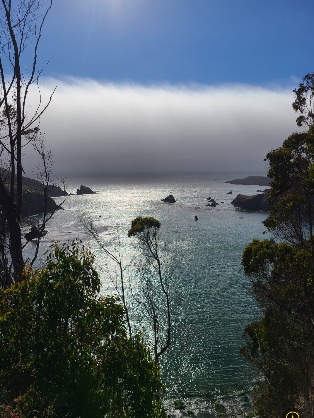 Coastal Dreams: A Misty Morning by the Ocean