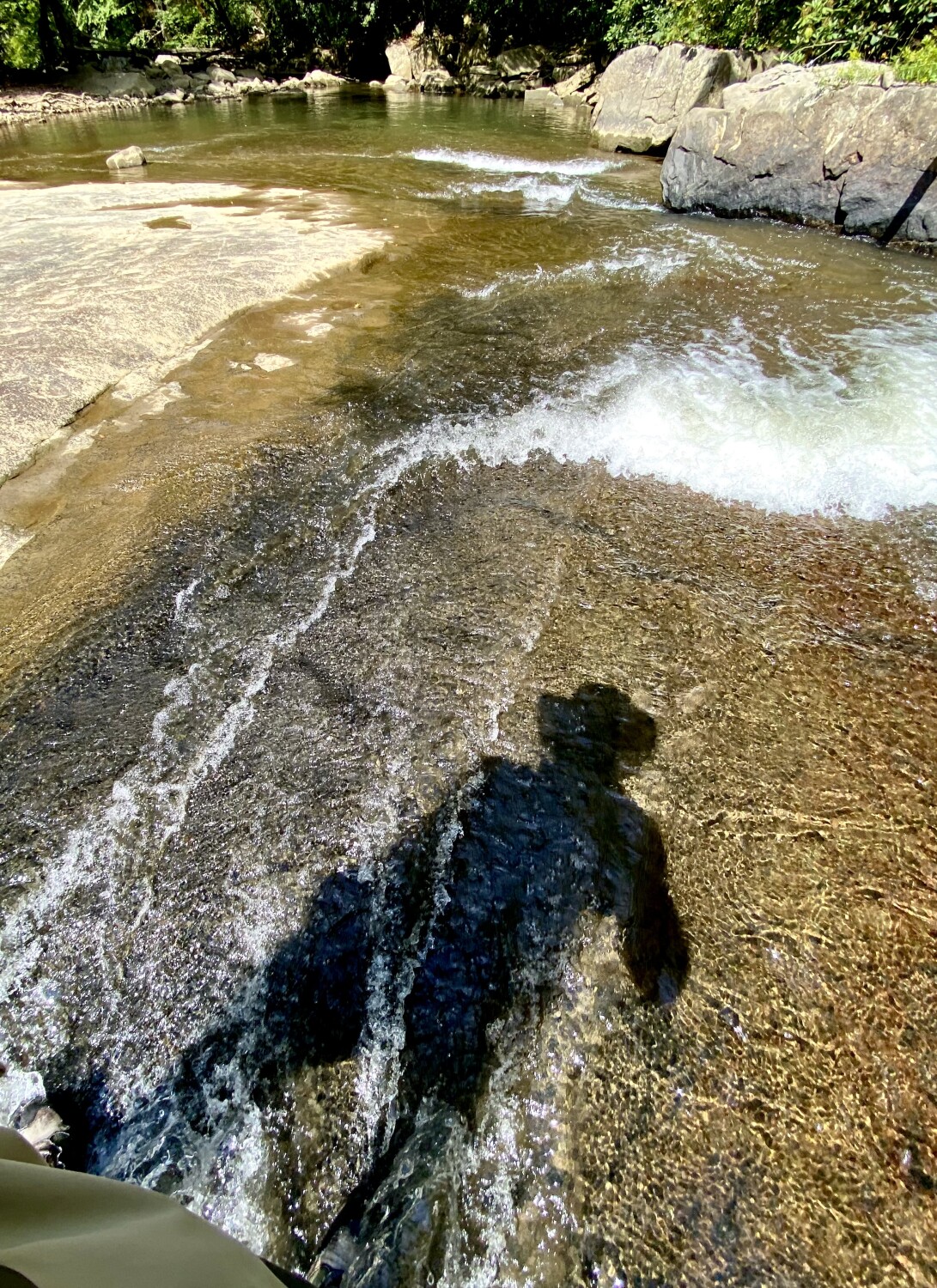 Silhouette Of Serenity