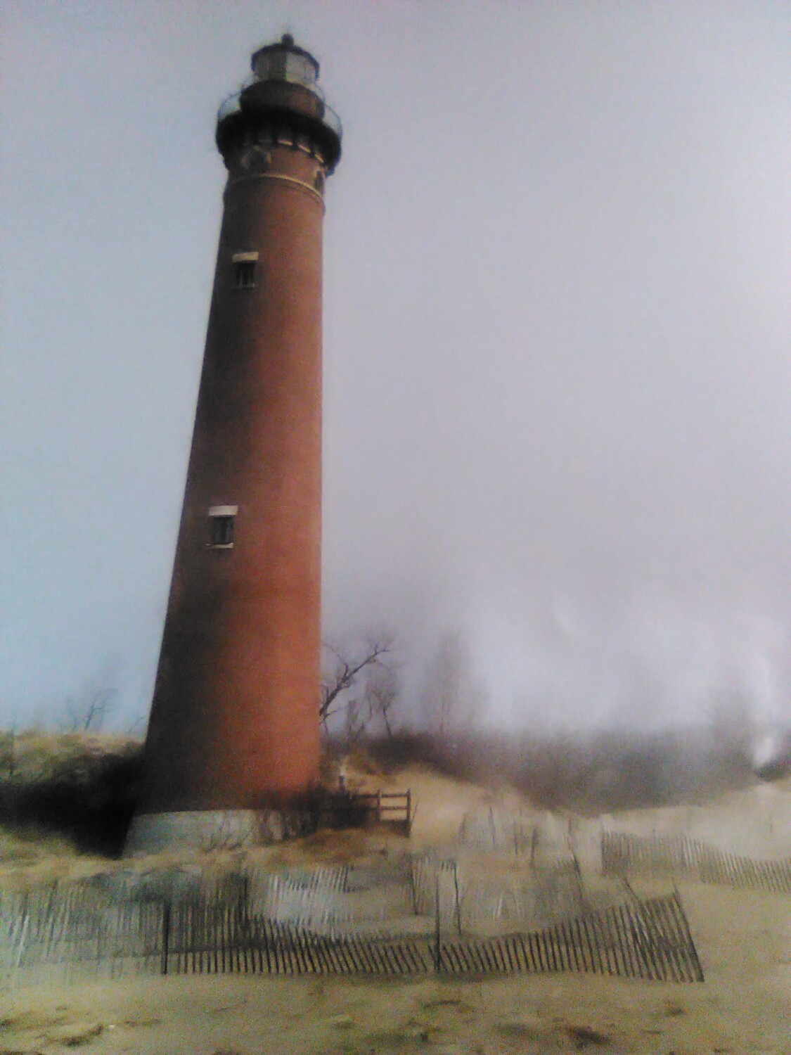 Beauty within the Fog