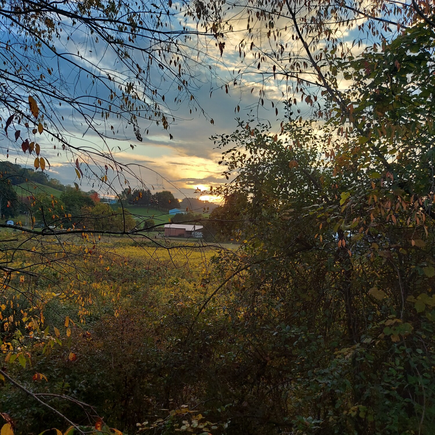 Sunrise at Tappan Lake