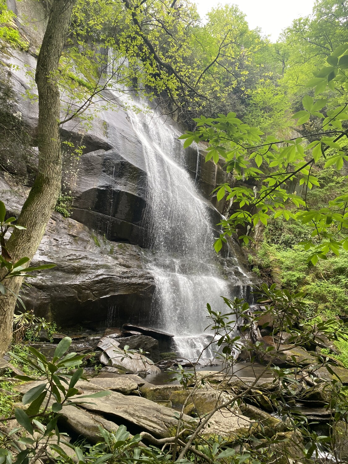 Citico Creek Wilderness