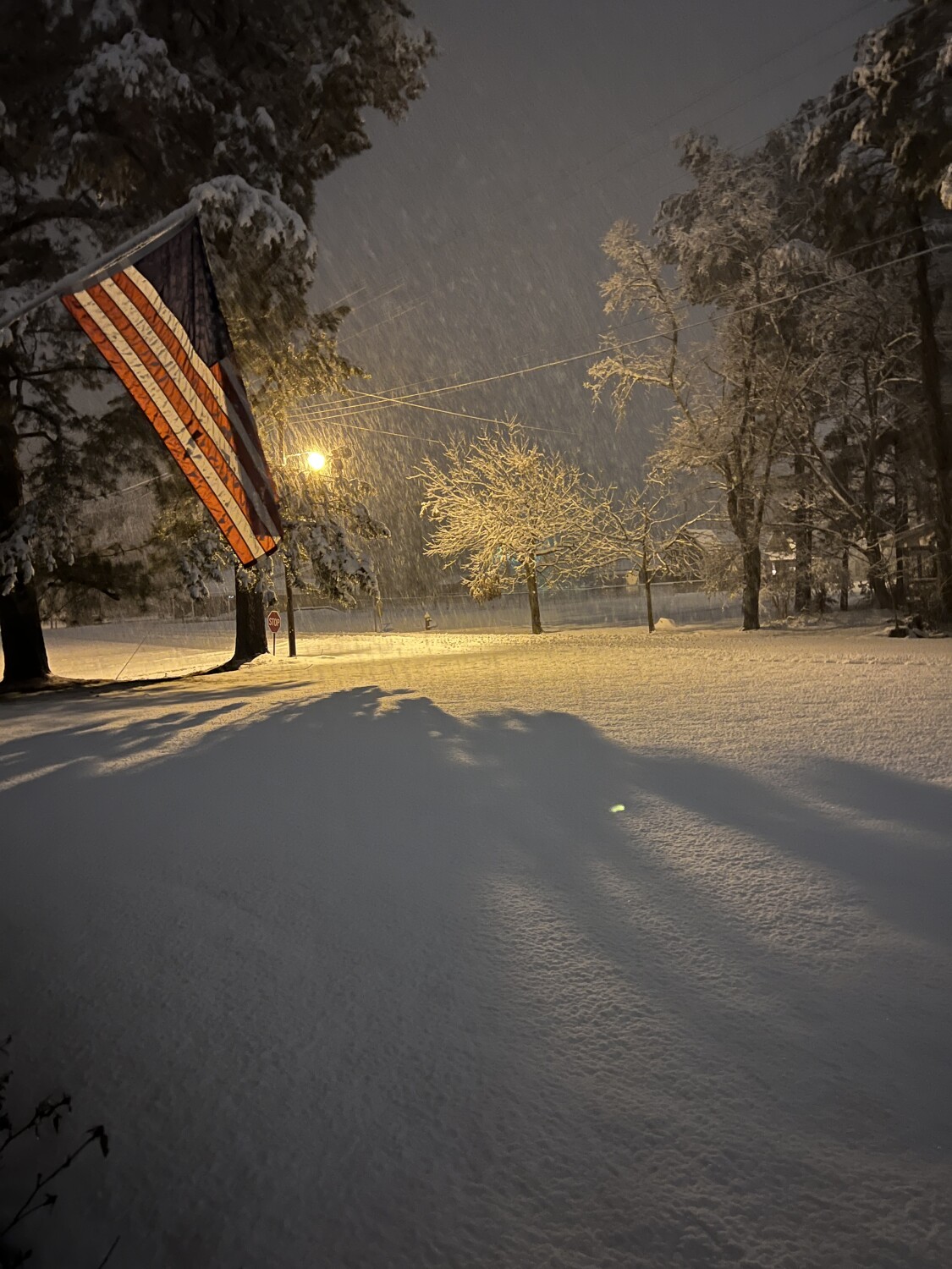 Our Flag still waves!