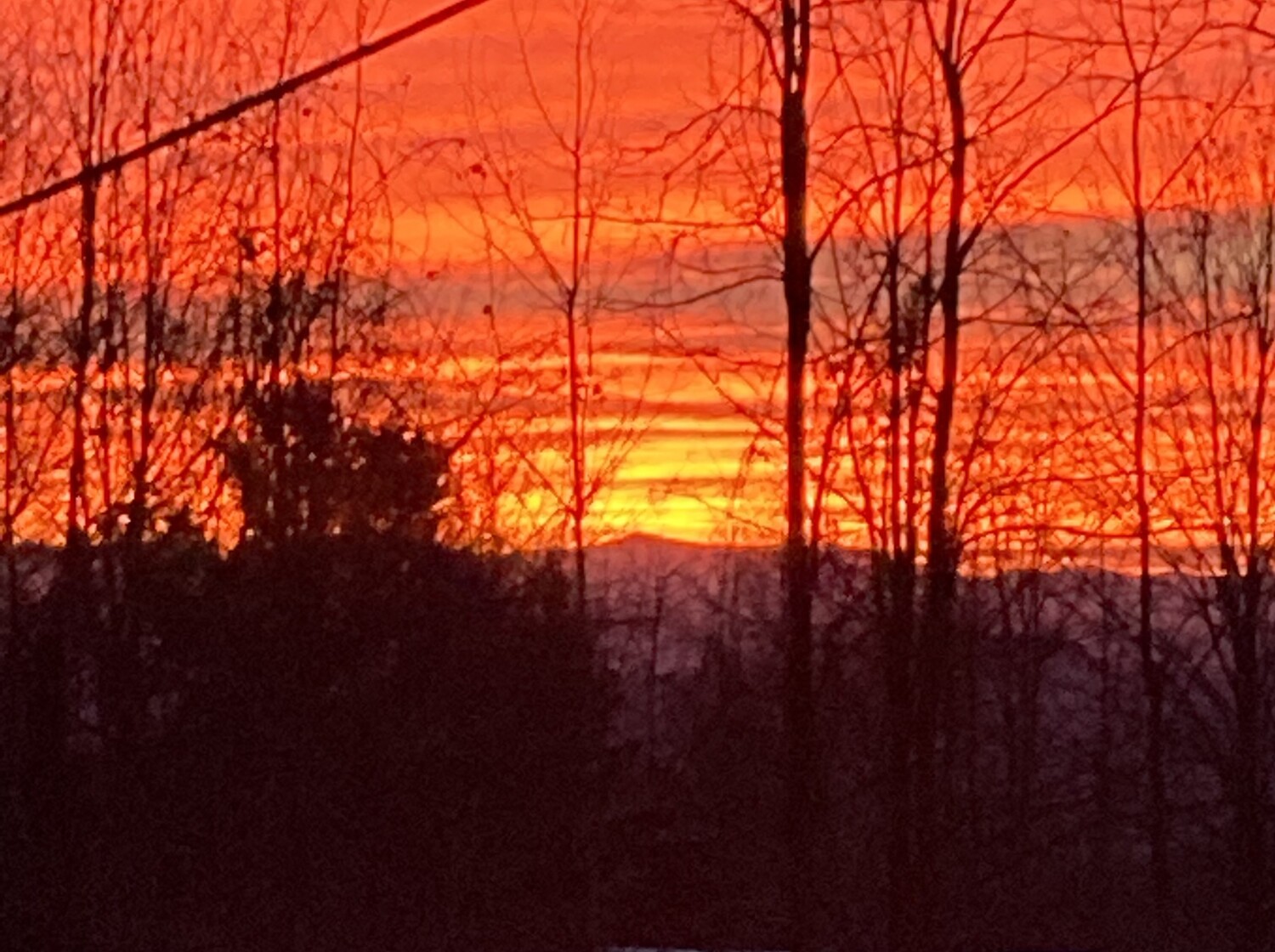 “Blissful Ti sunrise”