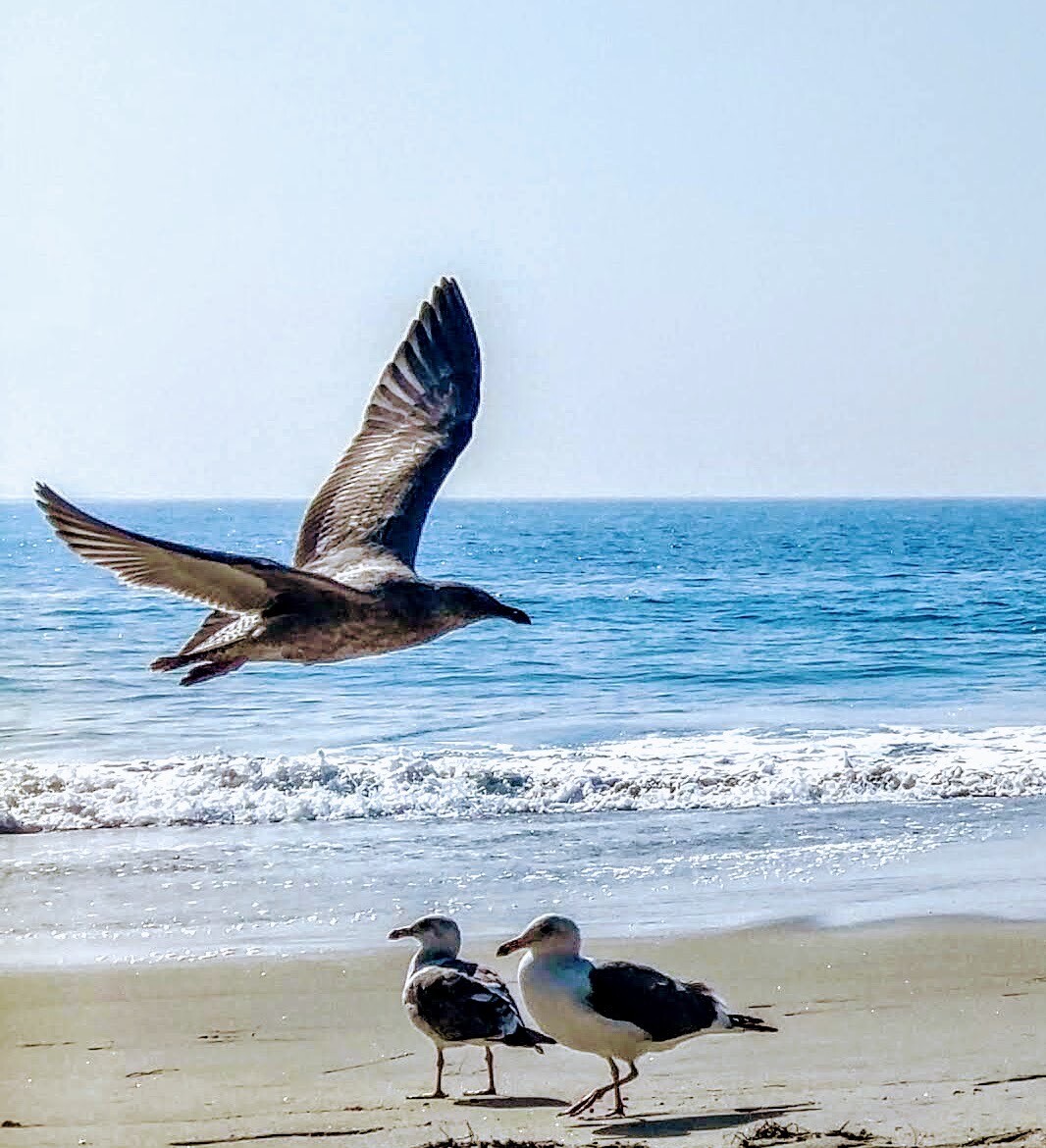 A Welcomed Photobomber!!