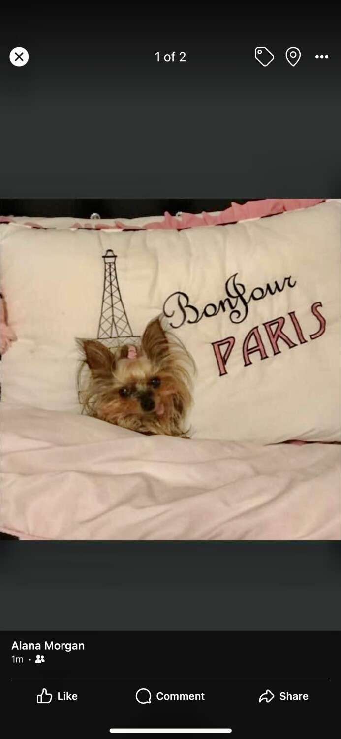 CoCo “CHANEL 17 years old