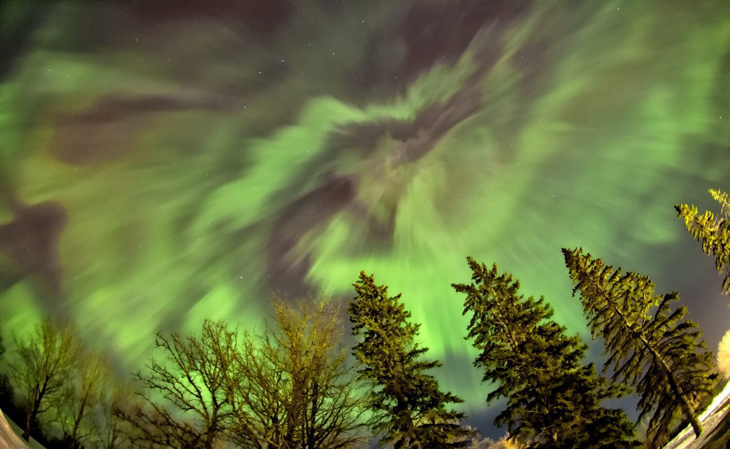 Northern Lights- Roseau, Minnesota