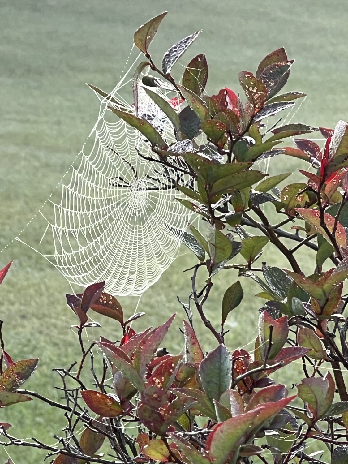 We are woven together, United we stand