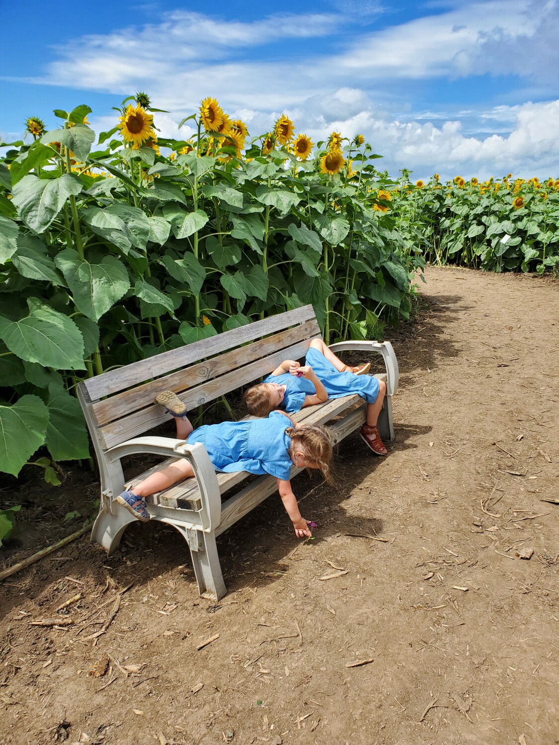 Just grandkids being themselves!