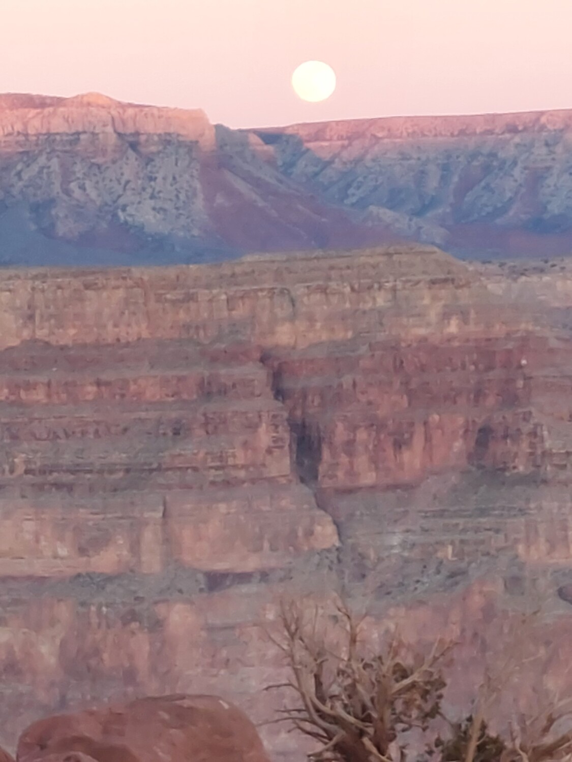 Grand Canyon