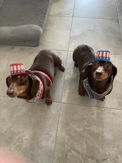 We’re Proud to be an American