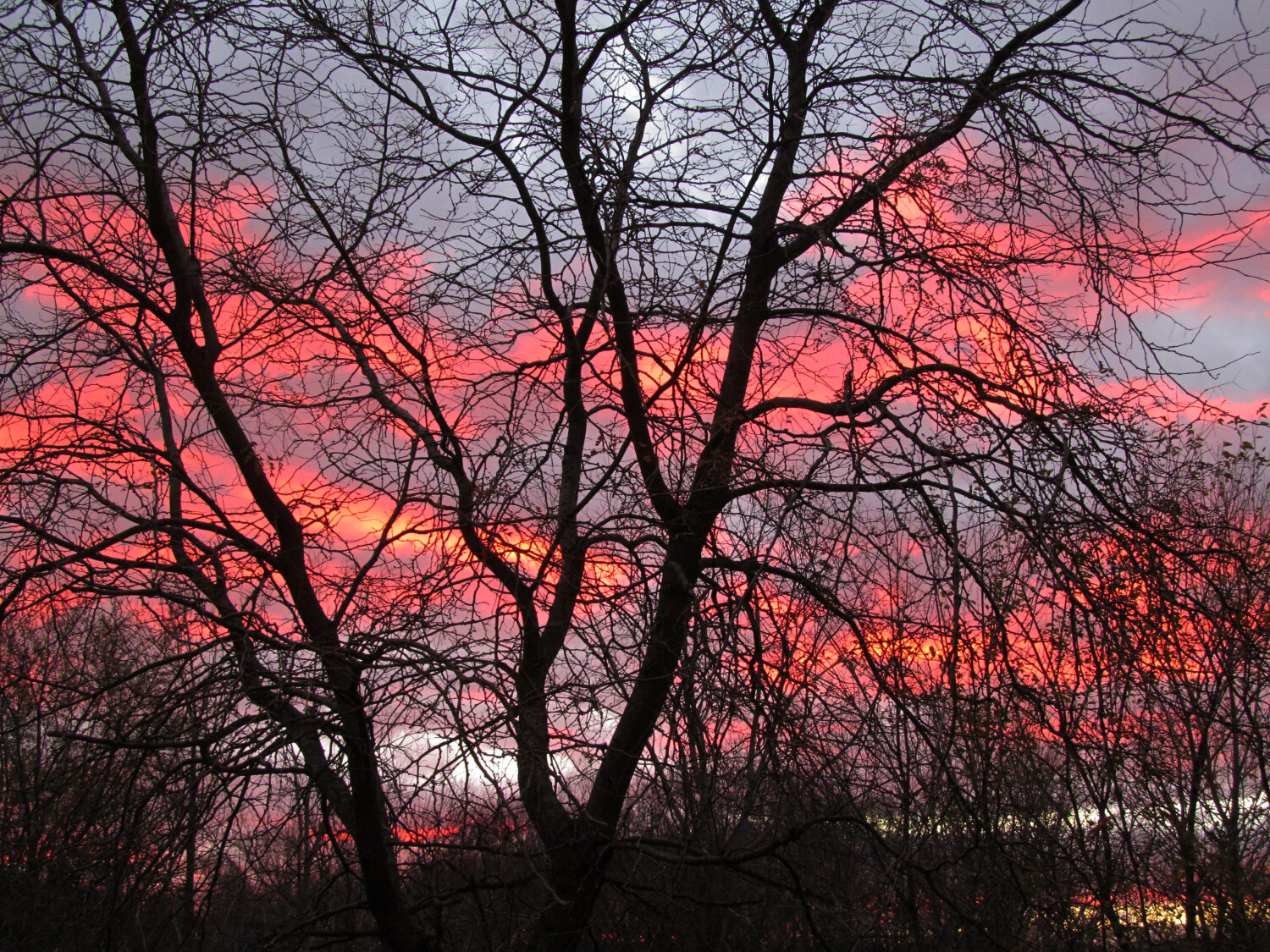 Evening Midwestern Sky