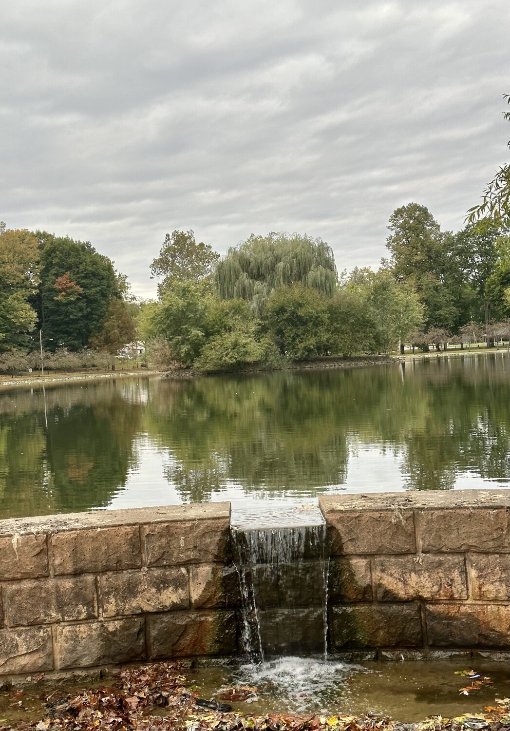 A Seasons Reflection