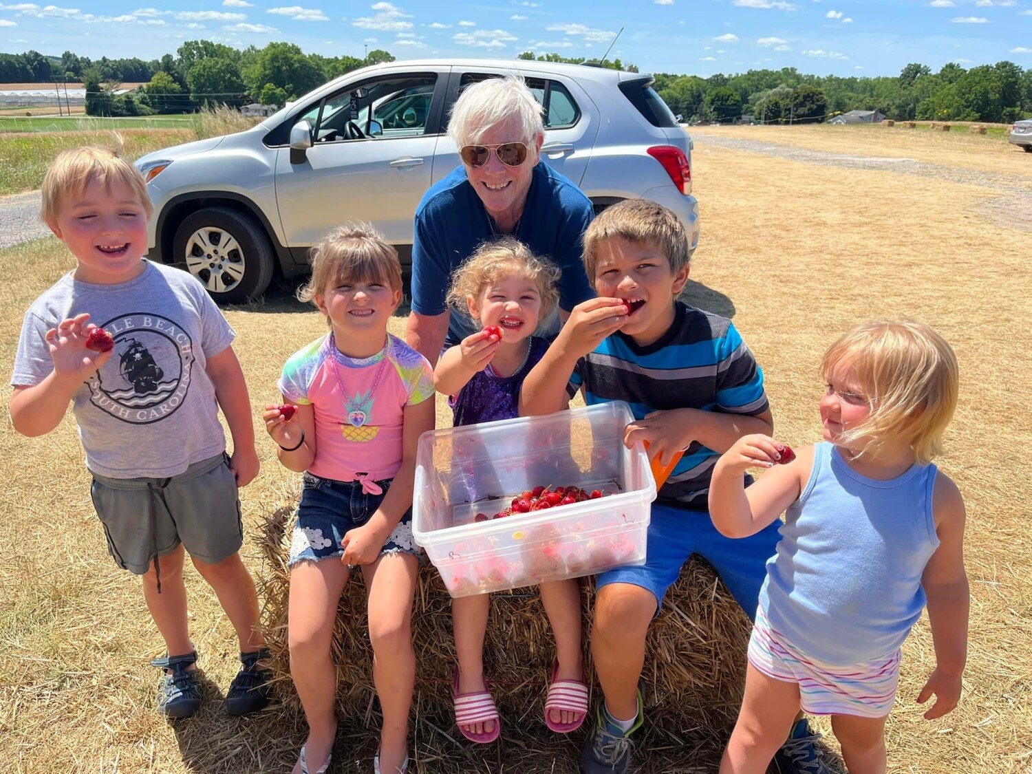 Tasting Strawberries