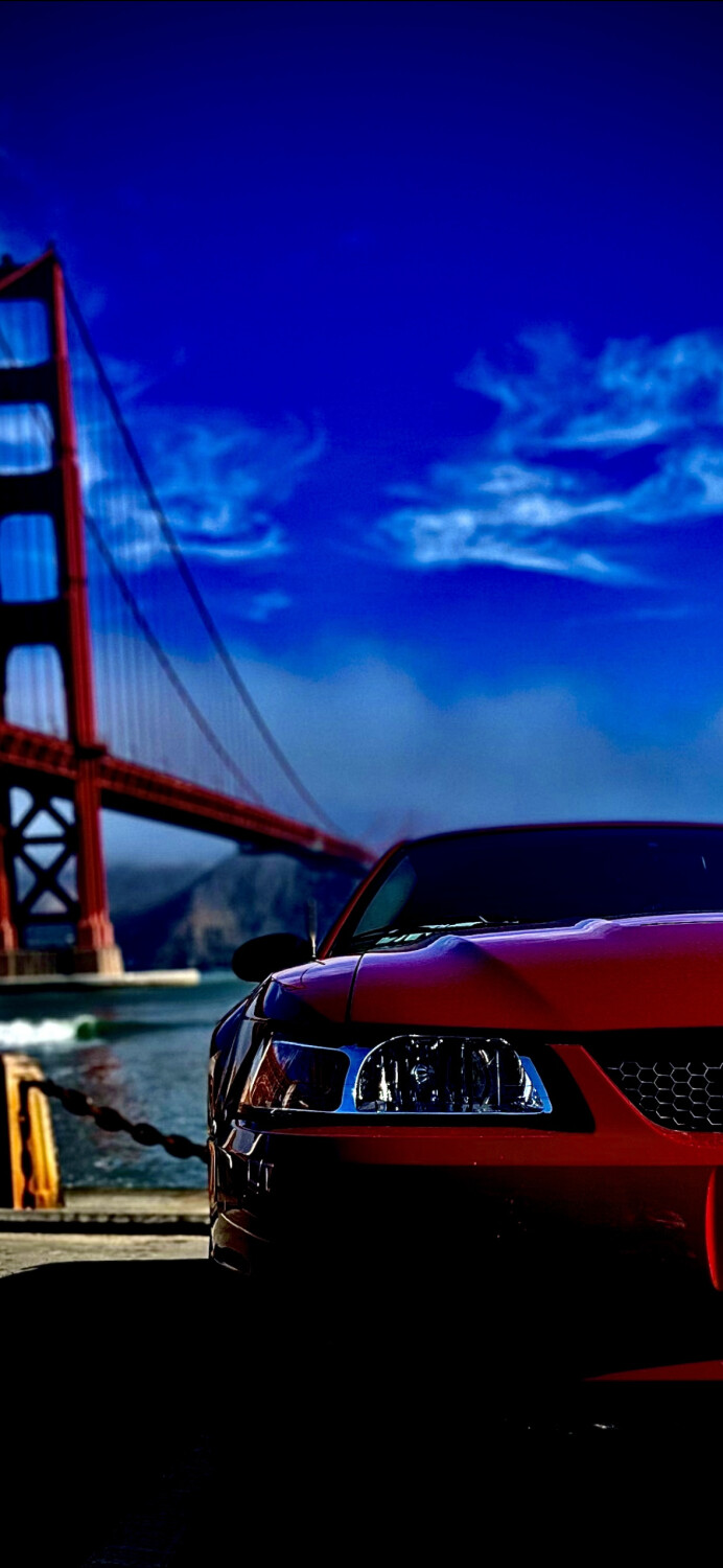 Golden Gate Stang