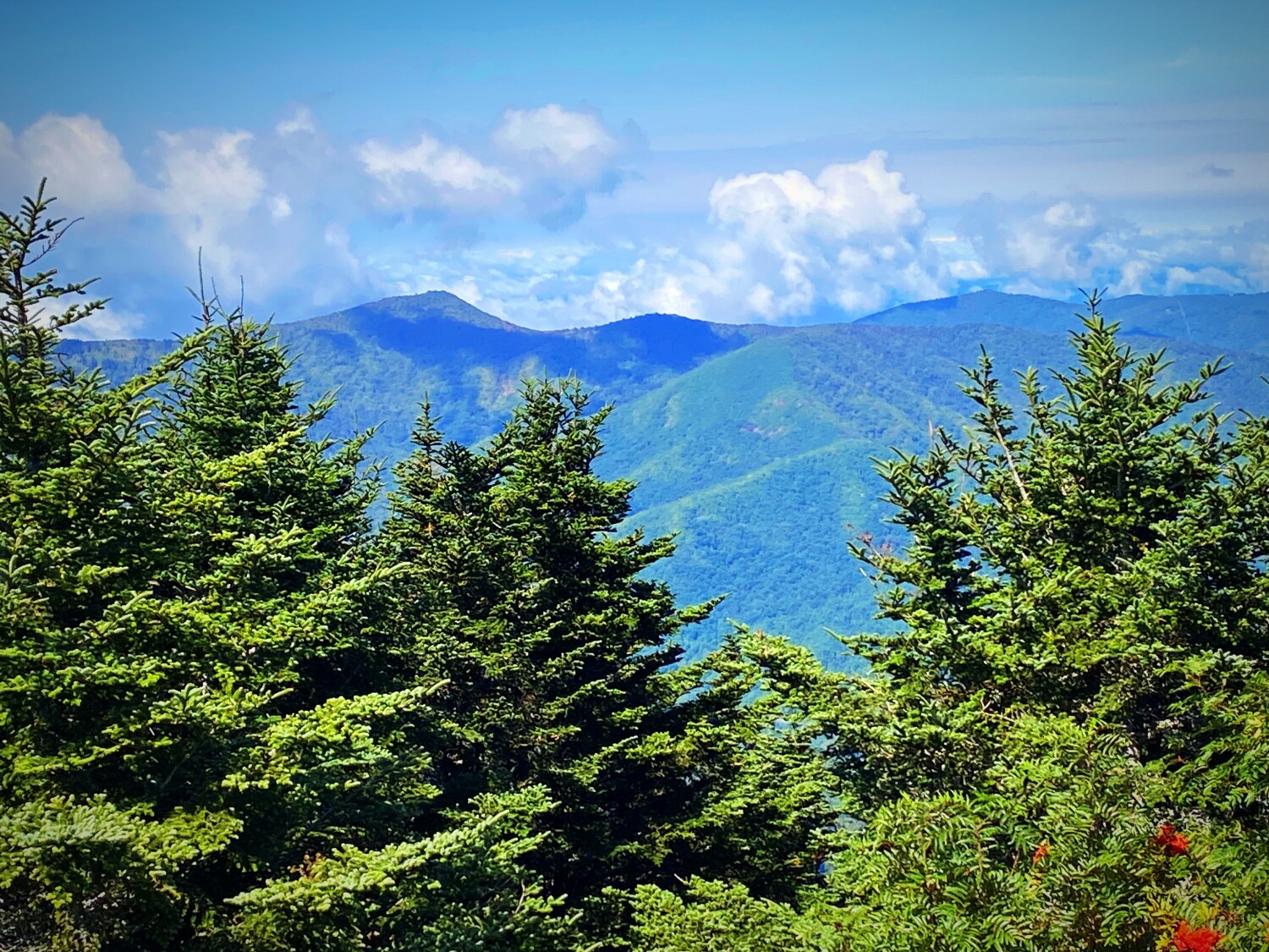 Smells like Christmas