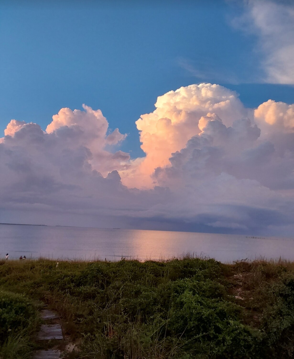 Looking out my backdoor