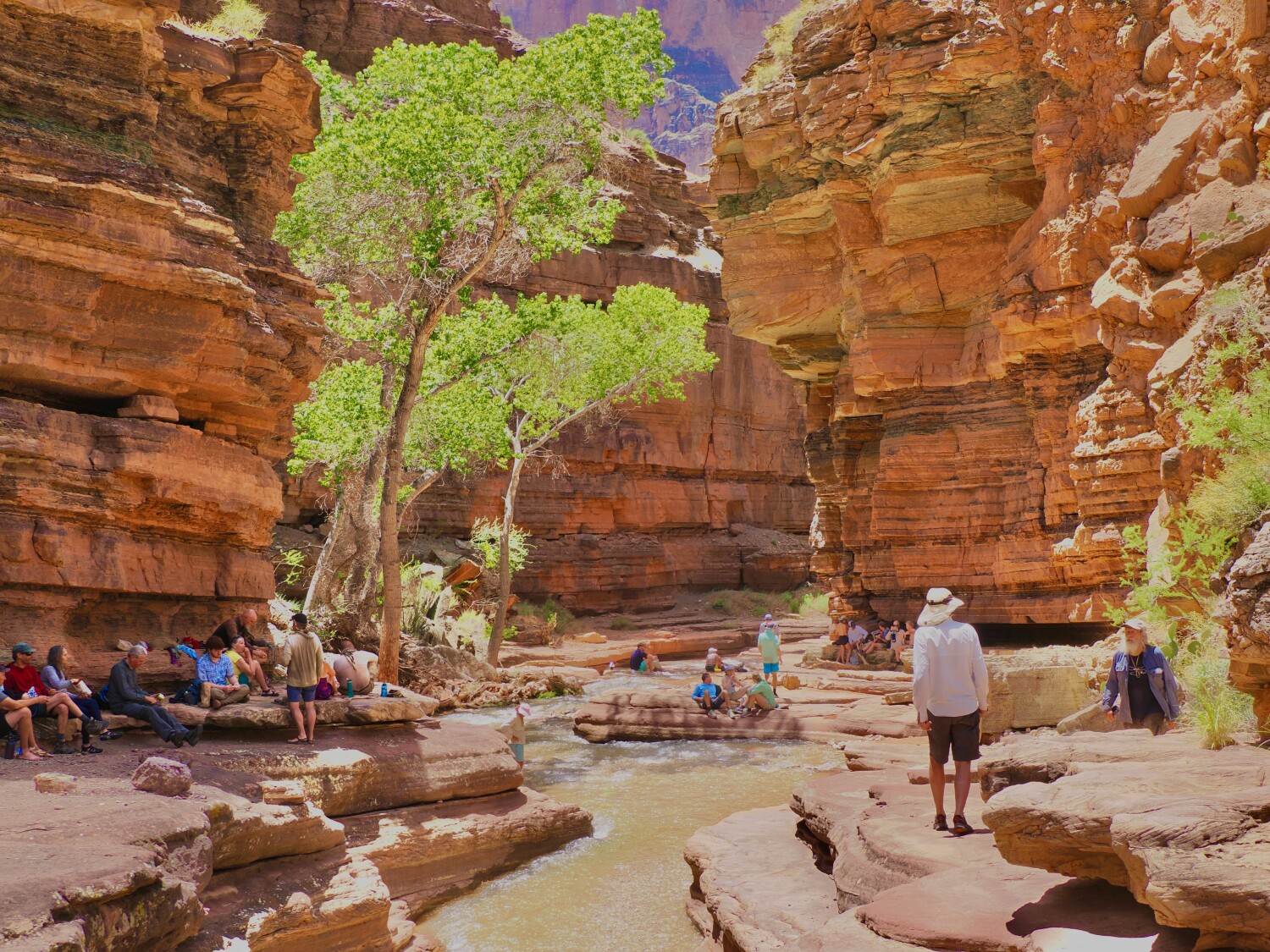The Patio at Deer Creek