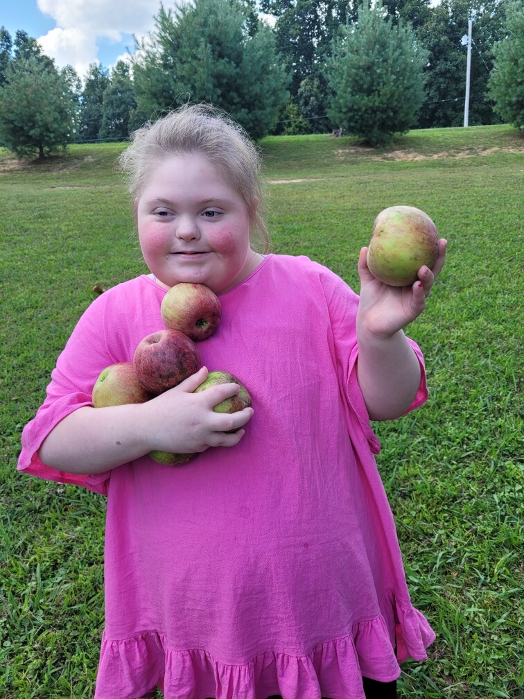 Backyard apple picking