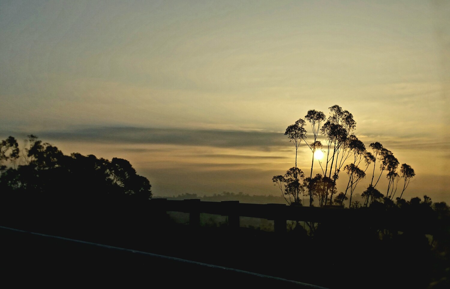 Sunrise morning Kiss