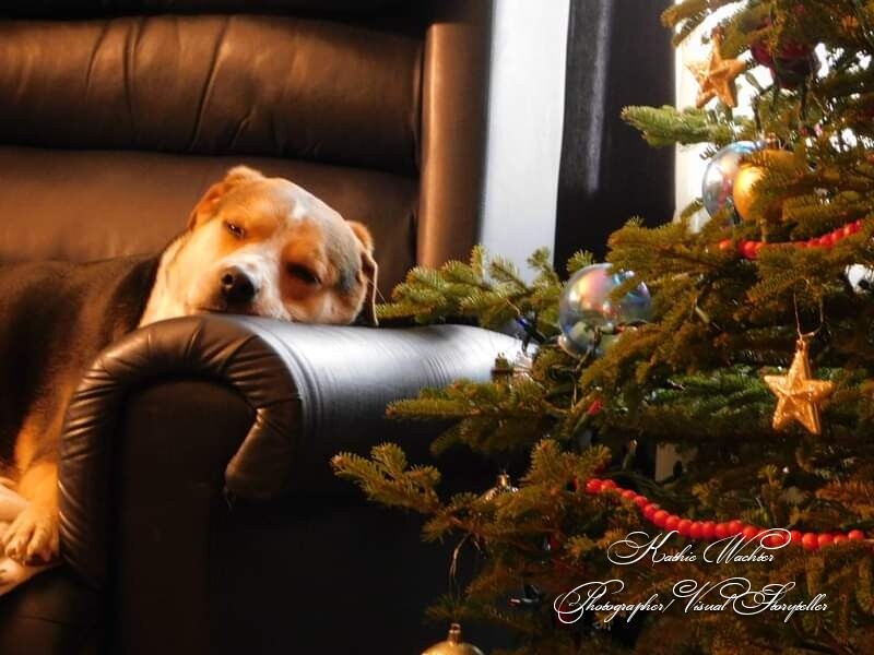 Waiting for Santa
