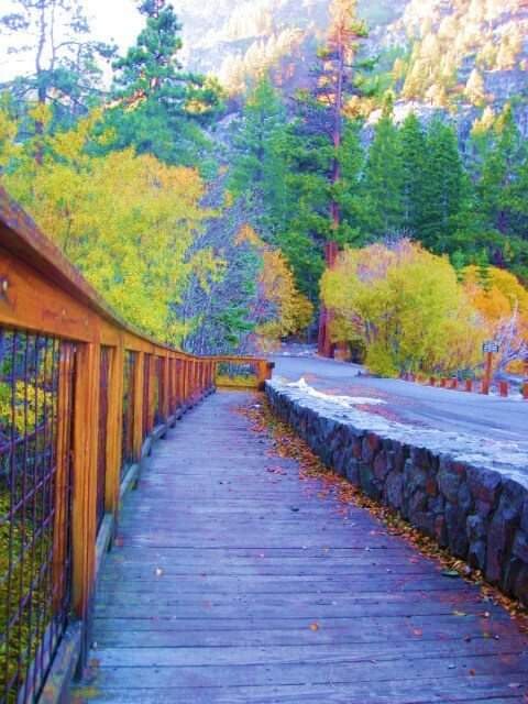 Autumn in Lake Tahoe
