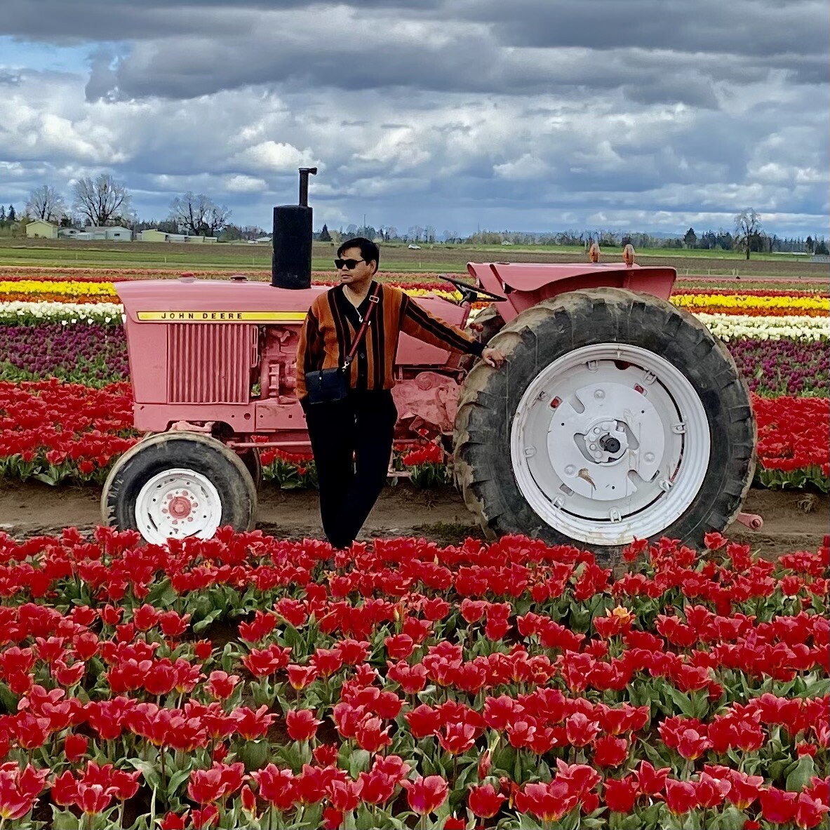 Tulip Farm