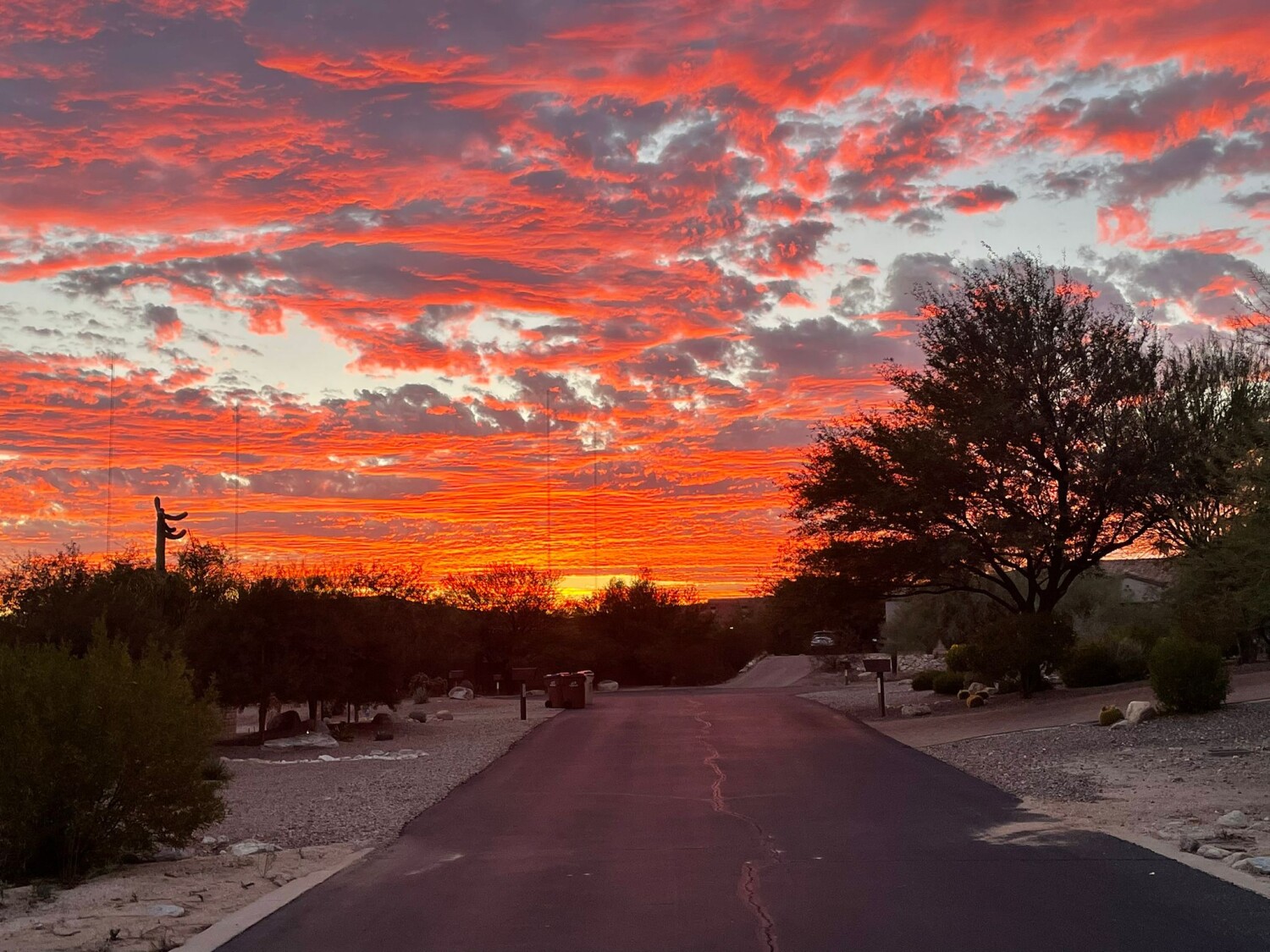 Amazing sunset Arizona