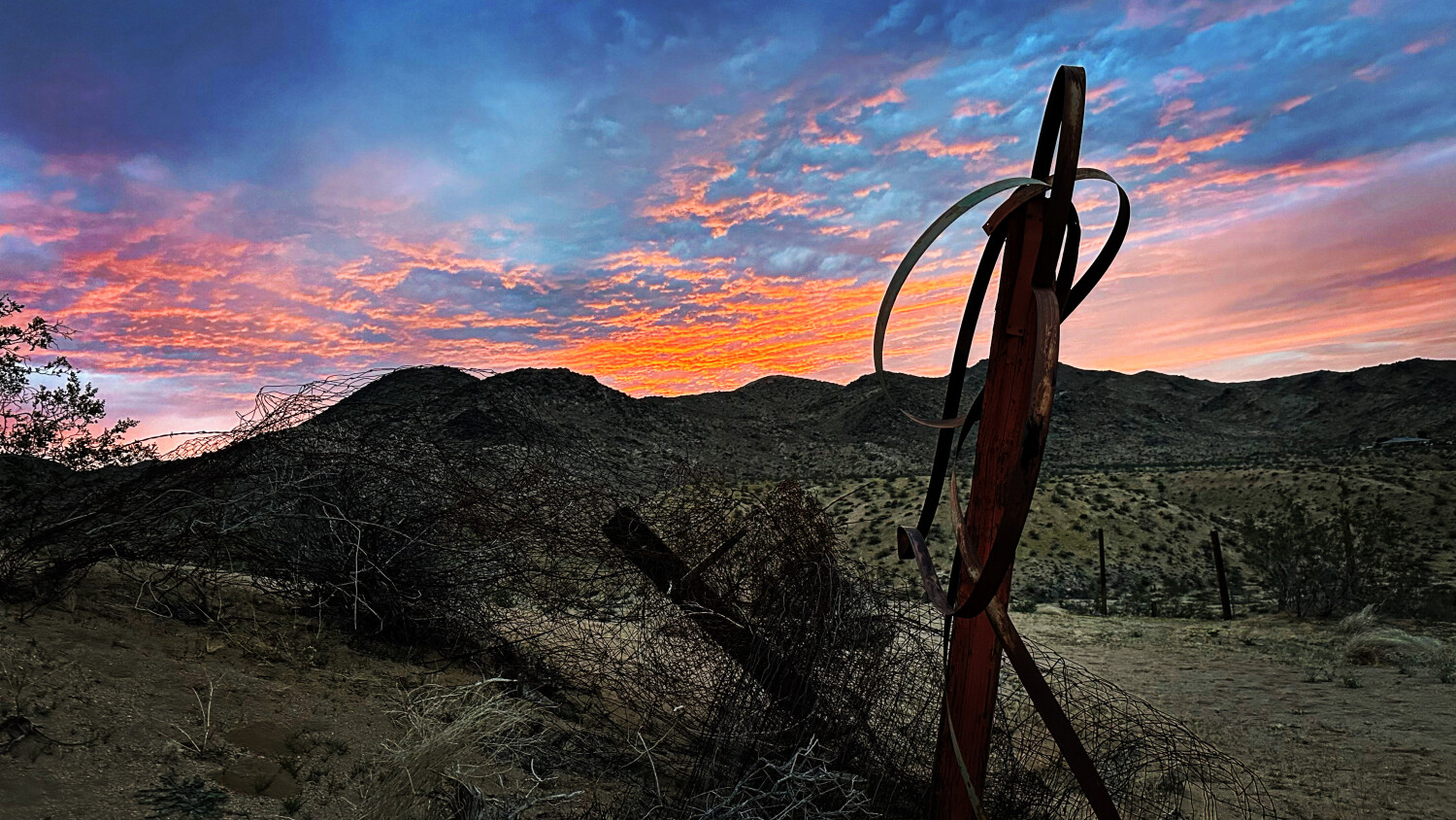Sunset in the desert