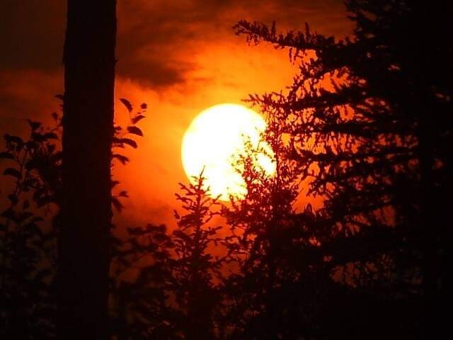 Full moon from the wood