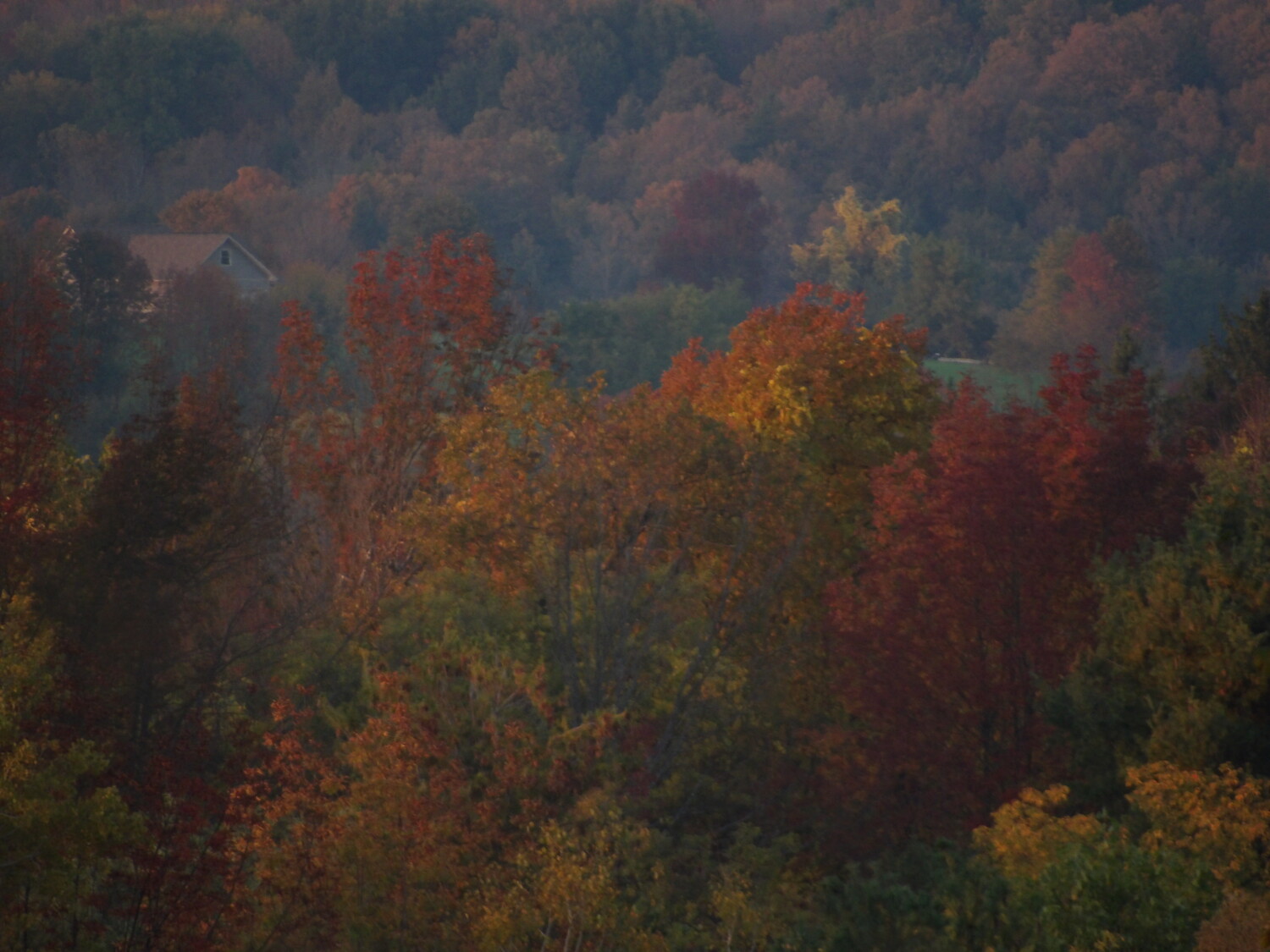The Colors of Cobleskill