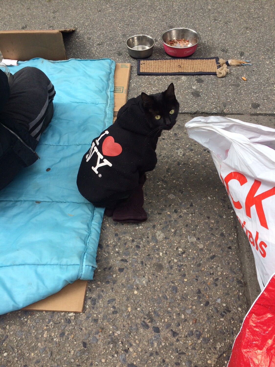 New York City beggar