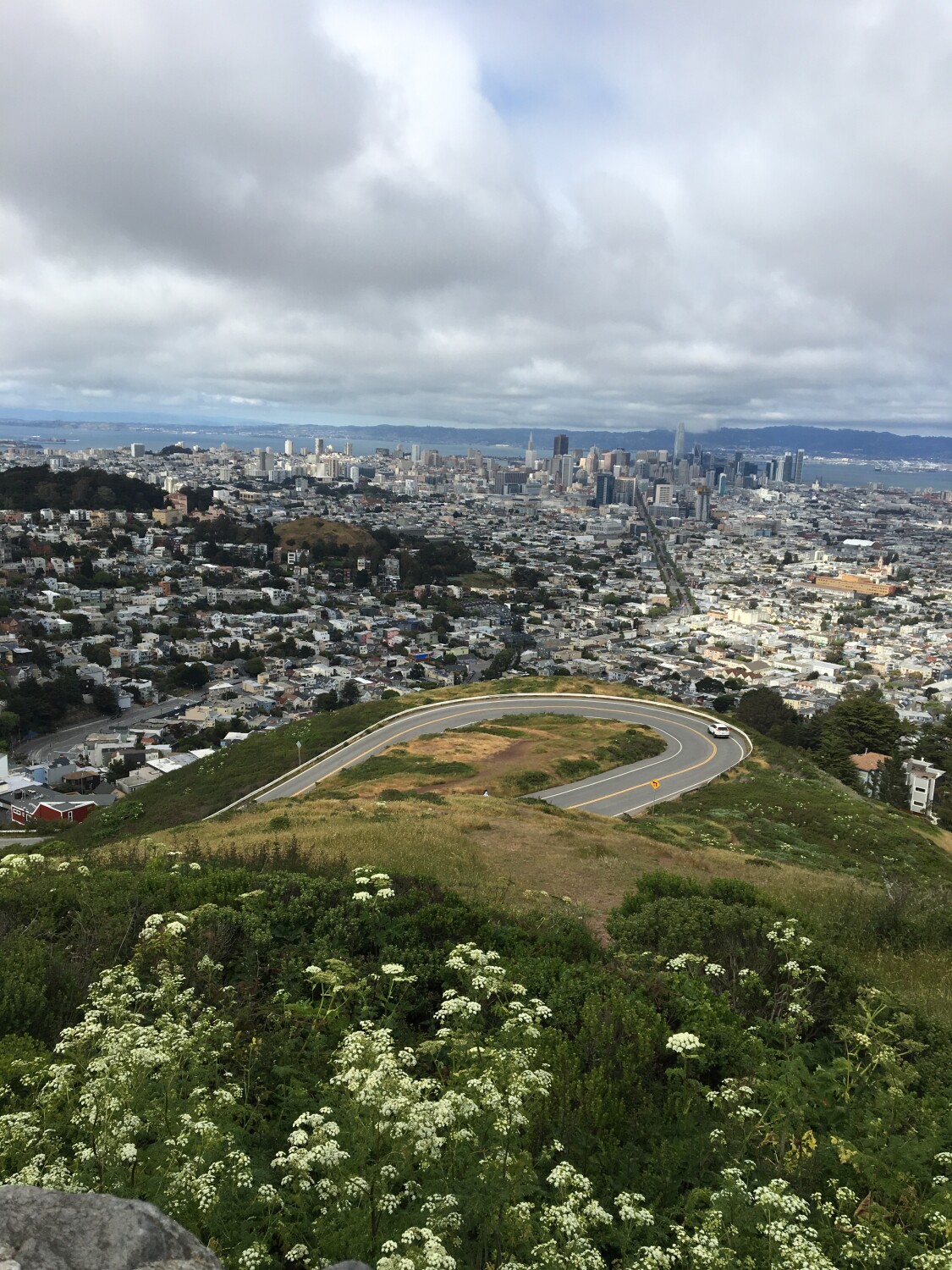 San Francisco Ca