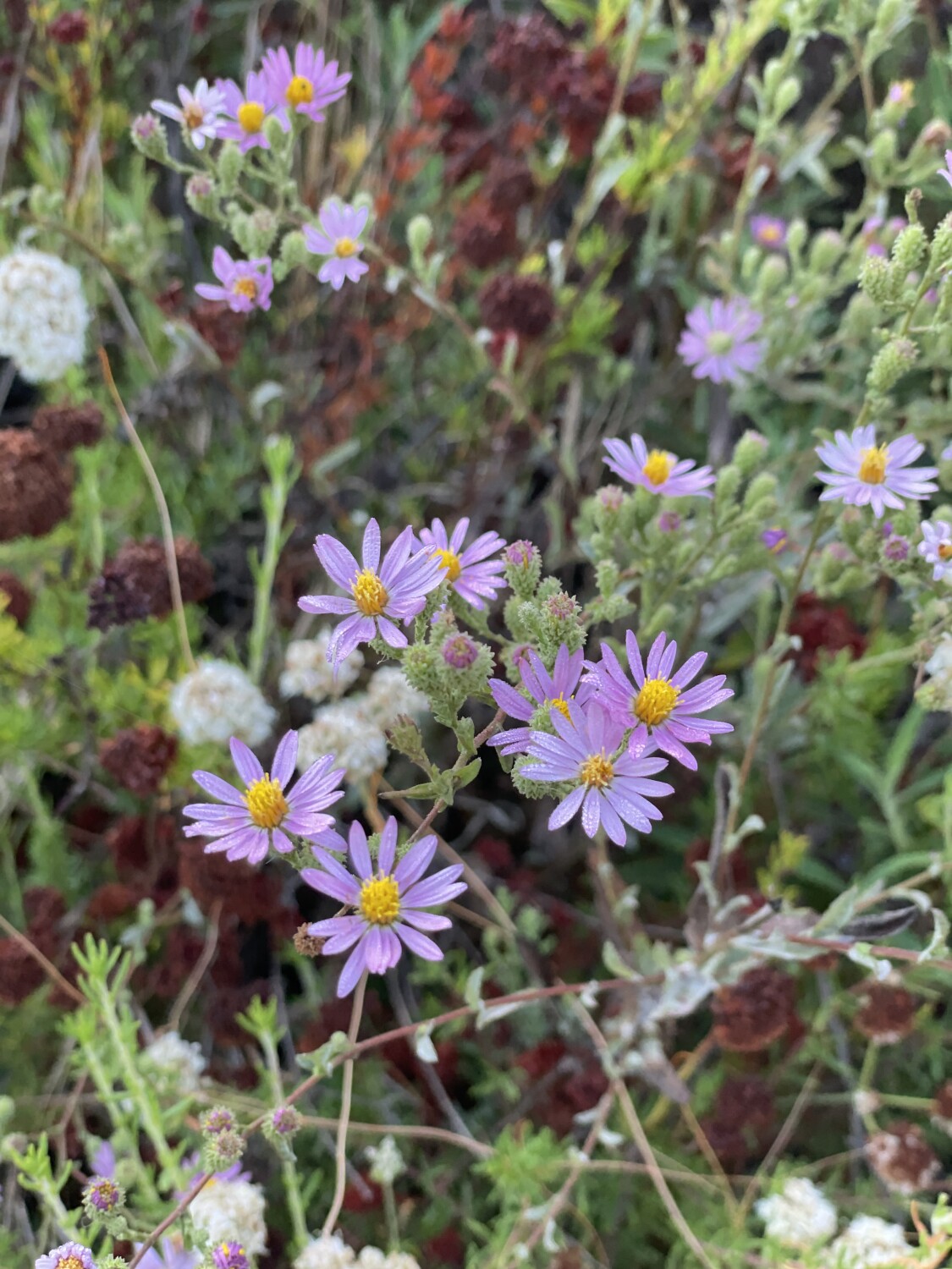 My favorite photo of the week🥰